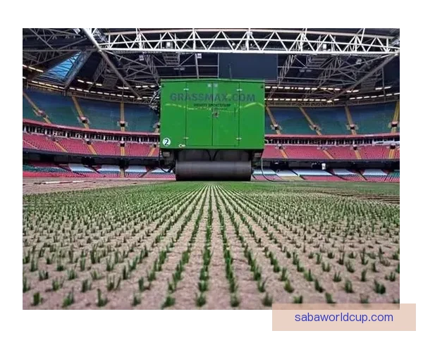 沙巴体育是否合法可信 如何辨别其真实性及安全性